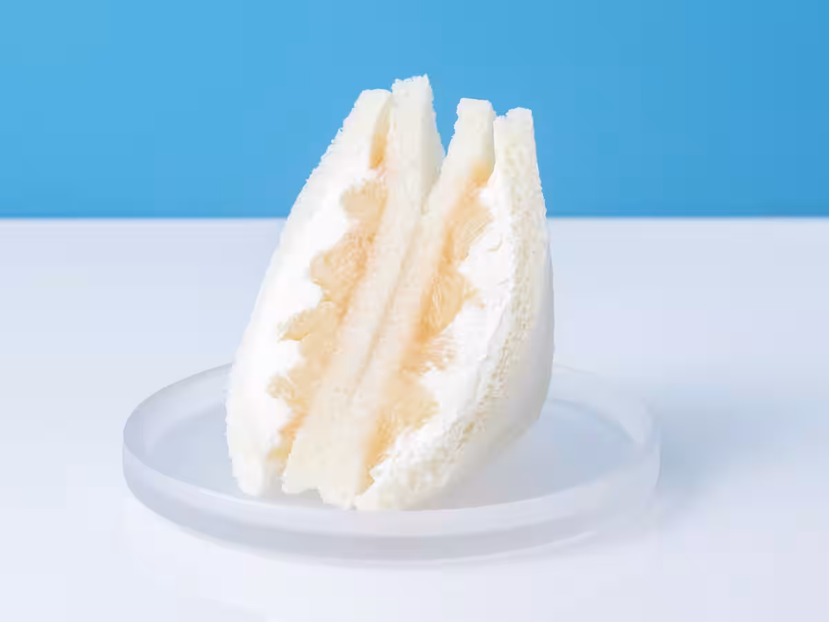 画像17