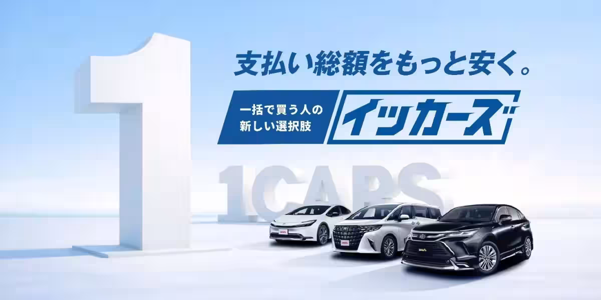 画像14