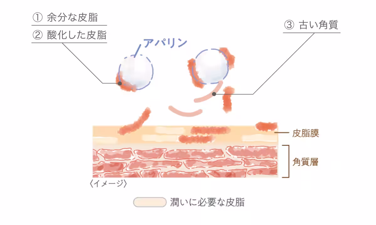 画像11