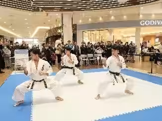 画像12