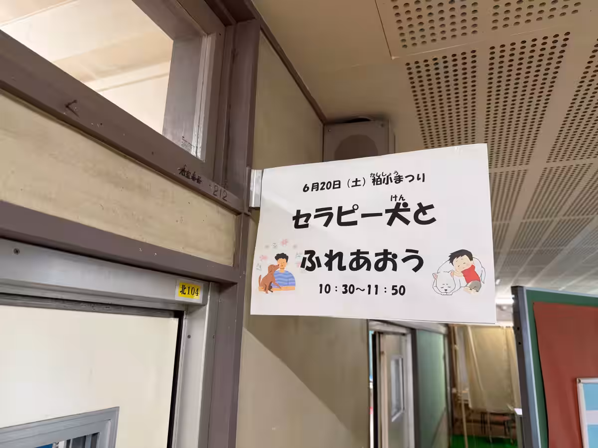 画像5