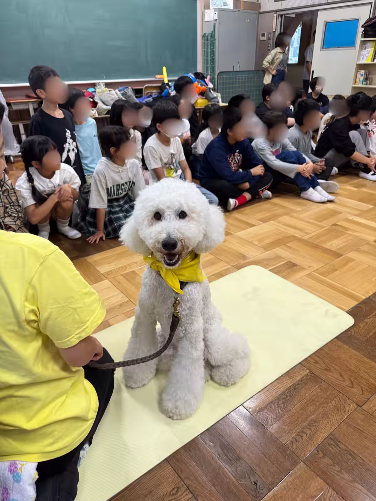 画像6