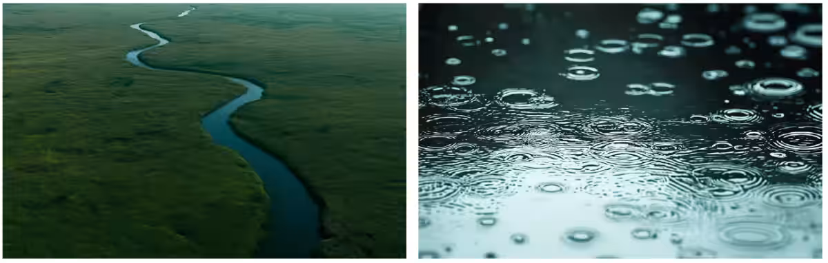 画像11