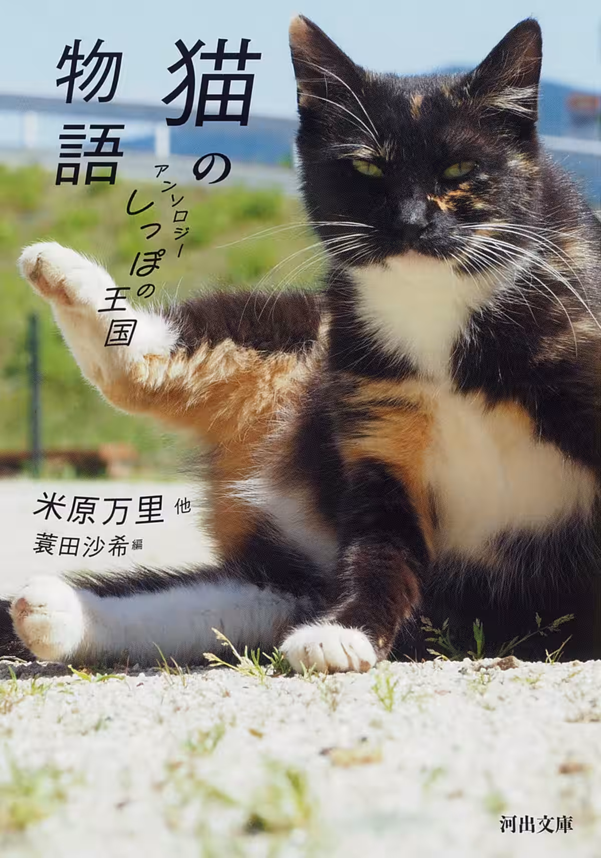 画像4