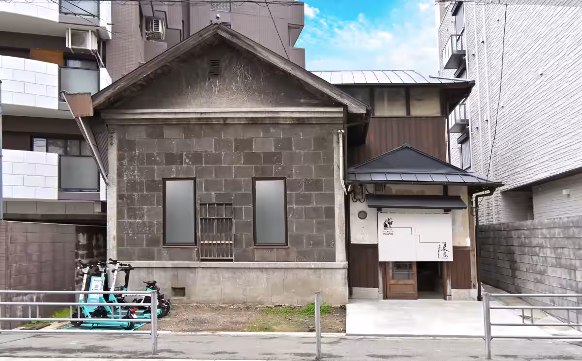 画像7