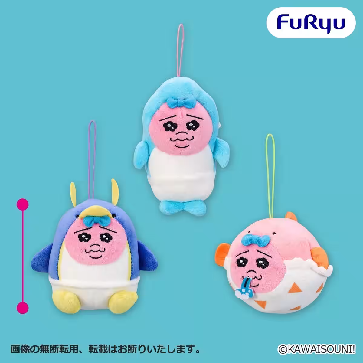 画像4