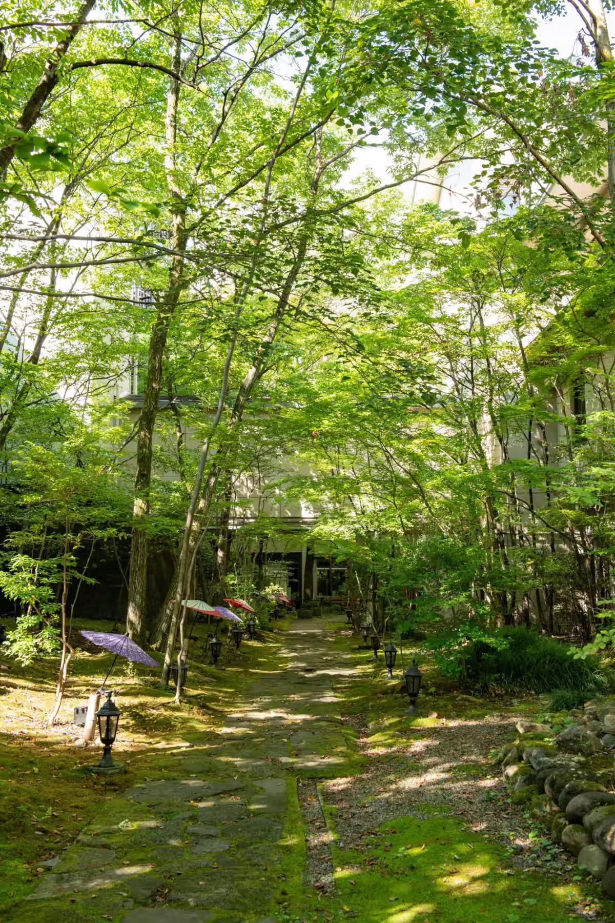 画像12