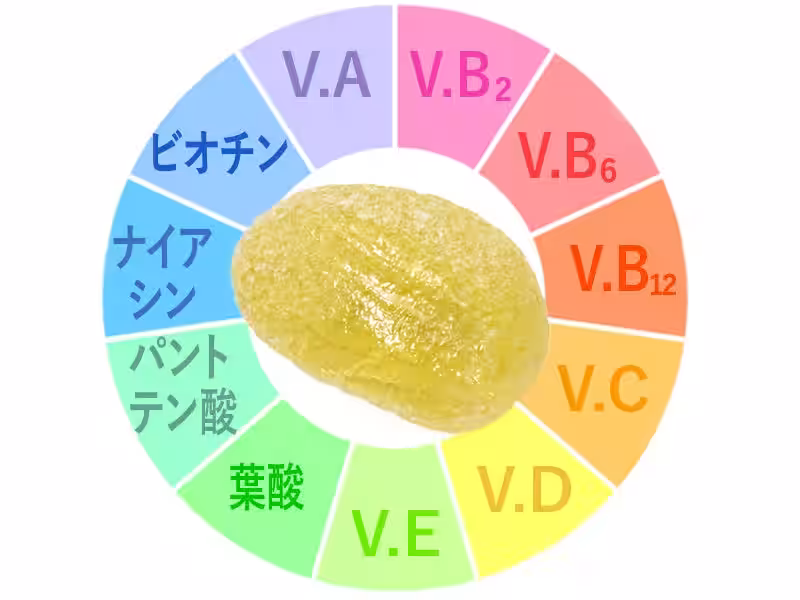 画像4