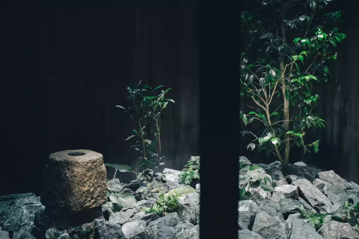 画像9