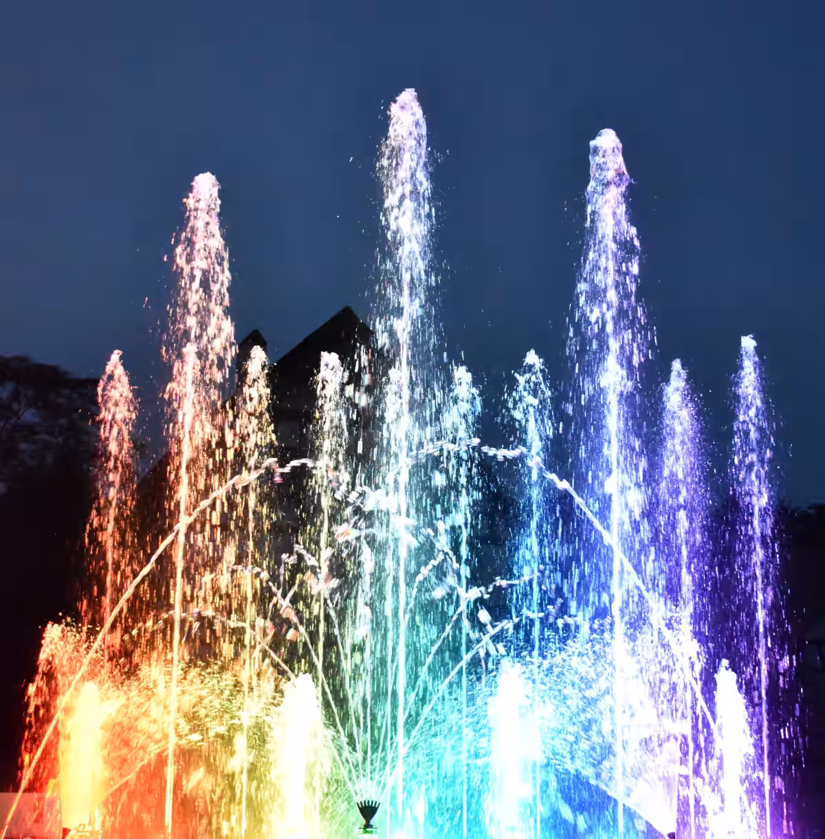 画像15