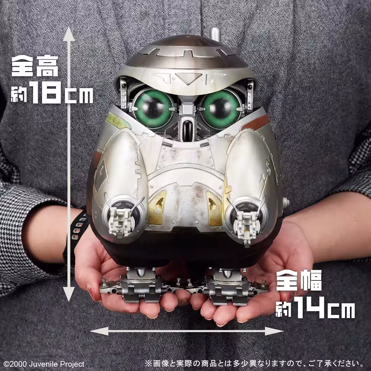 画像5