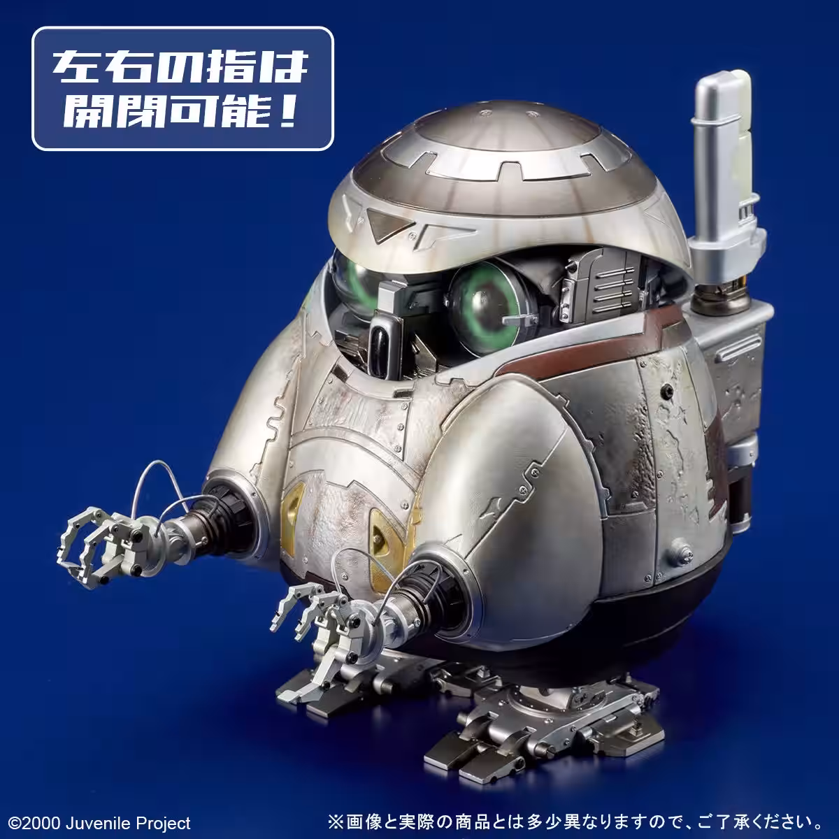 画像7