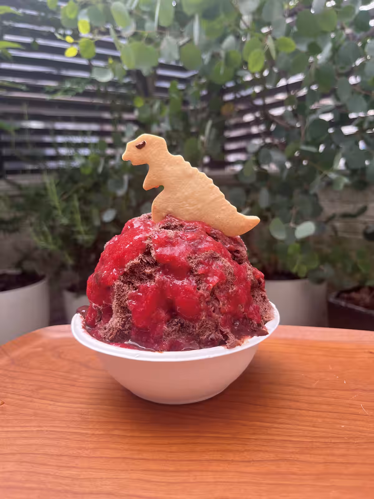 画像29