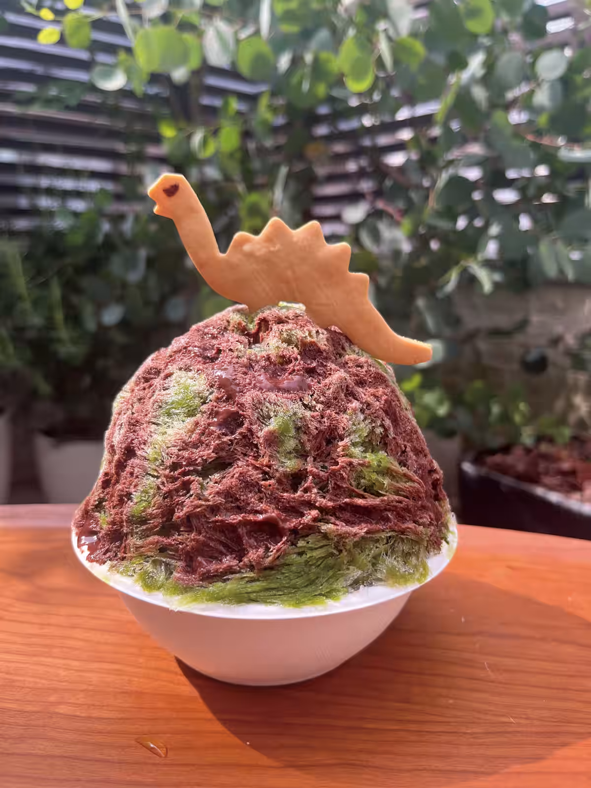 画像28