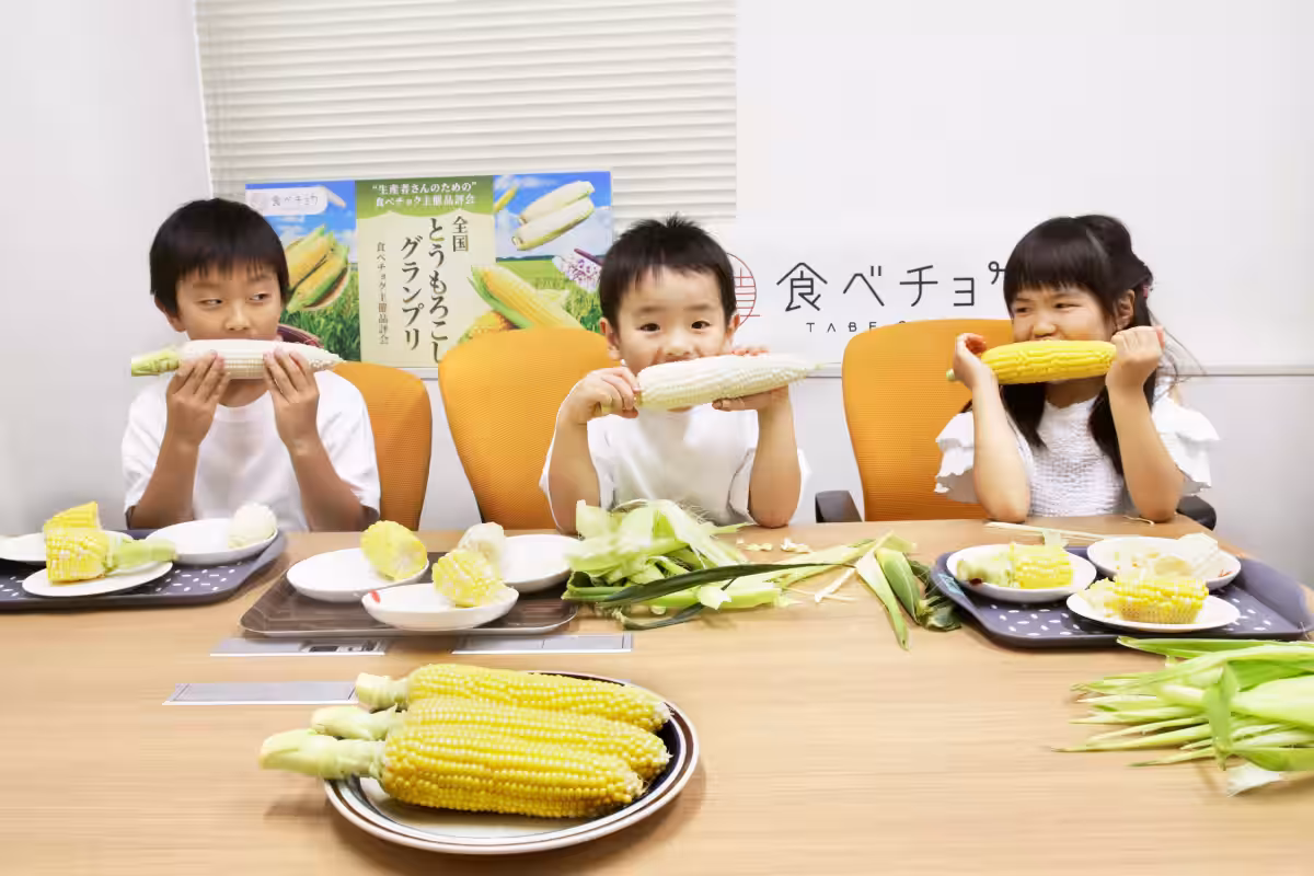 画像8