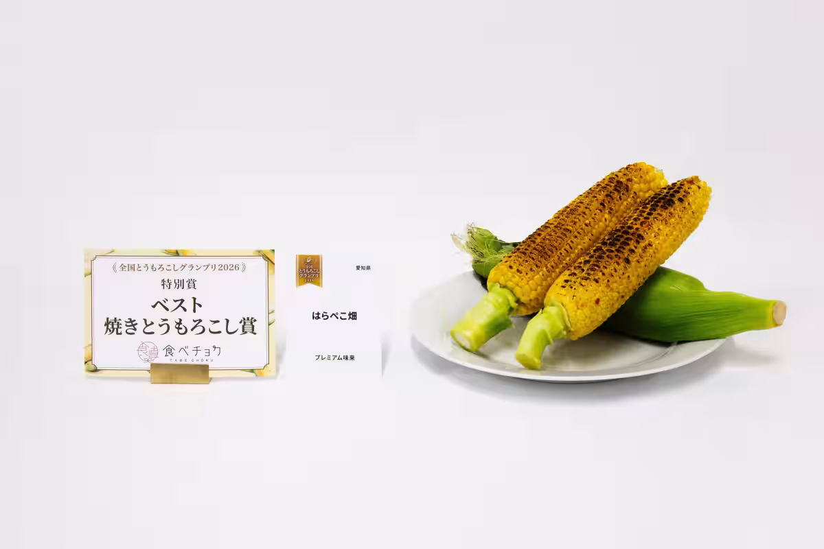 画像16