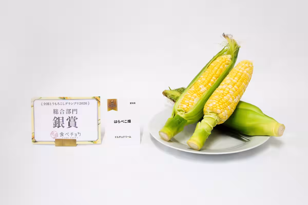 画像11