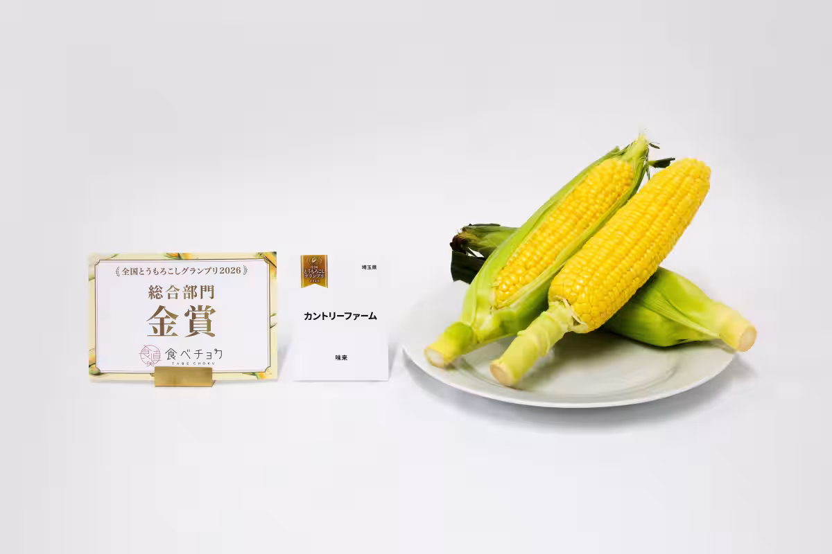 画像10