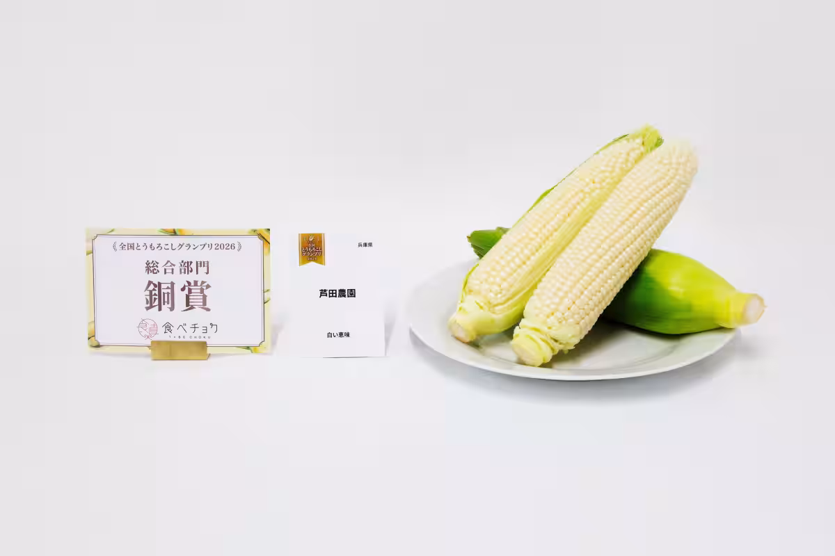 画像12