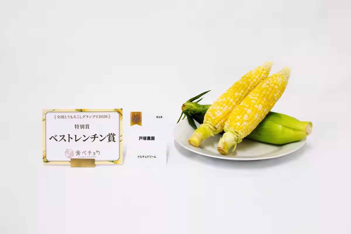 画像15