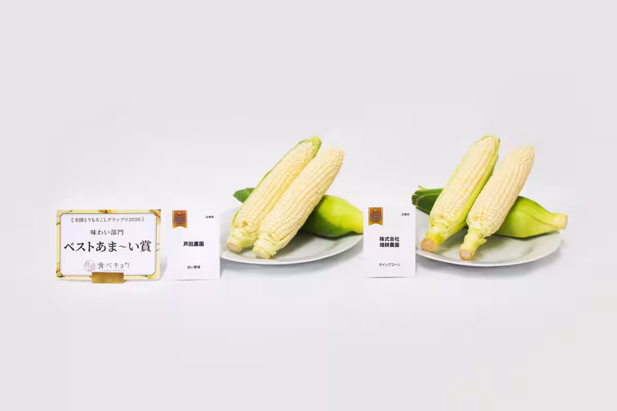 画像13