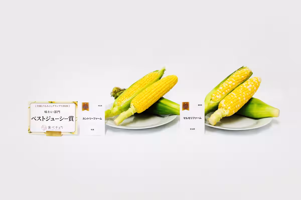 画像14