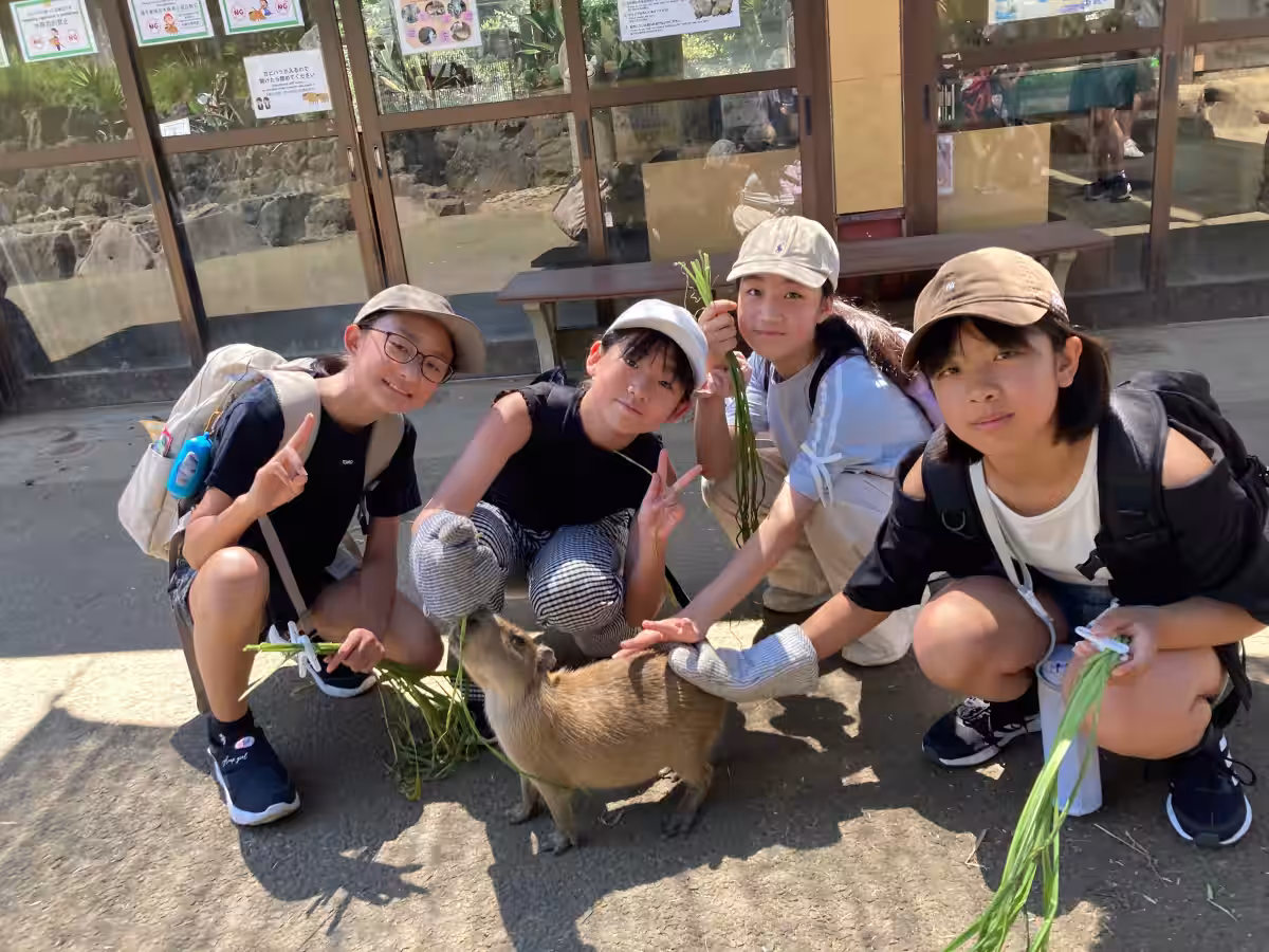 画像5