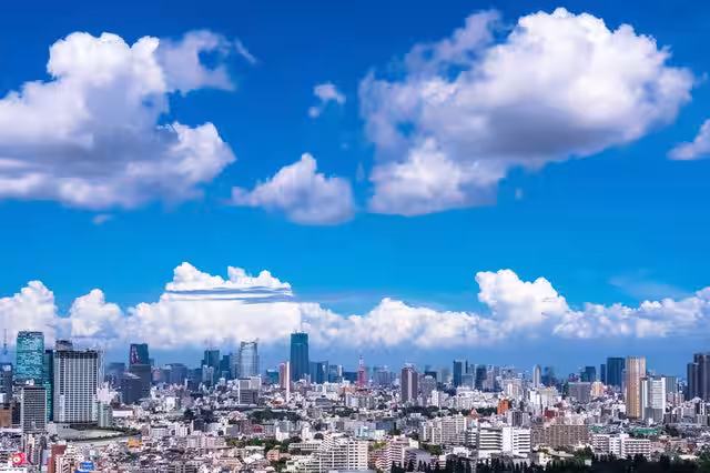 画像9