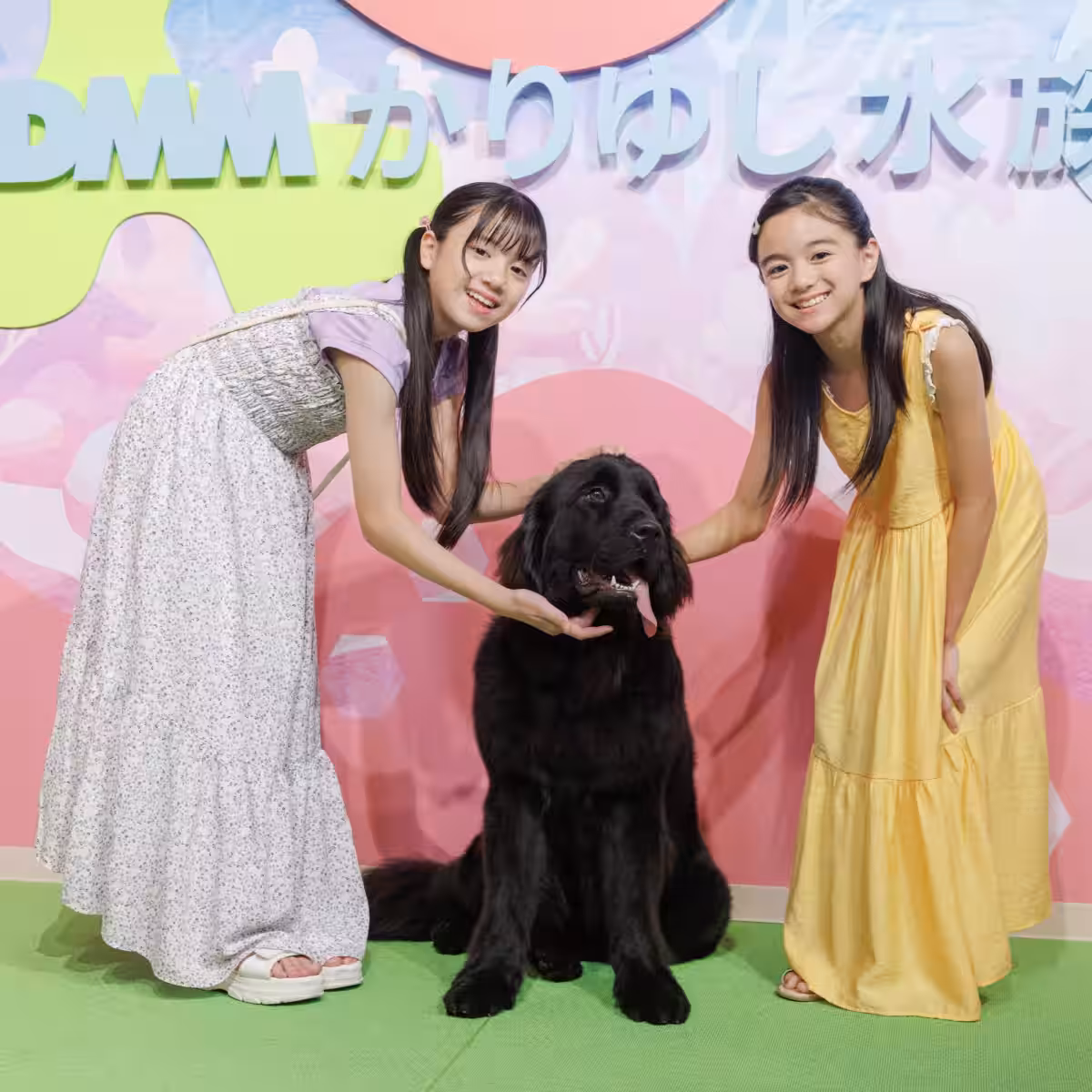画像5