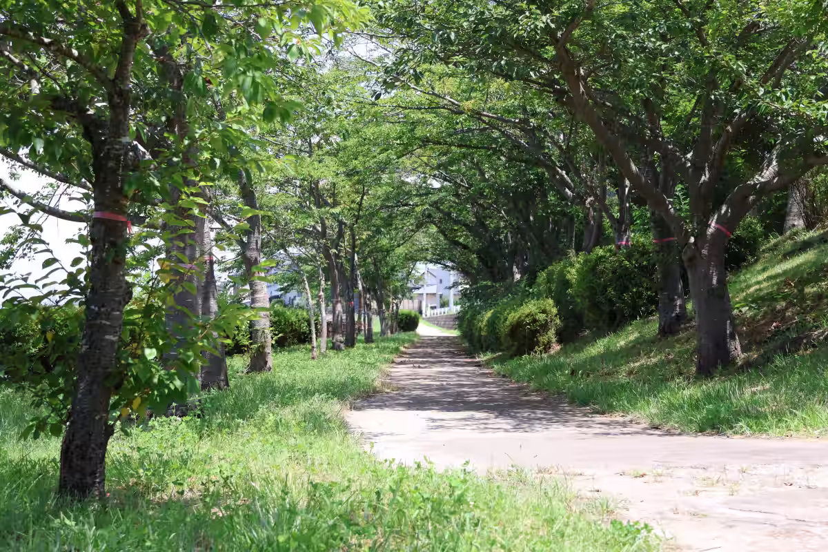 画像3