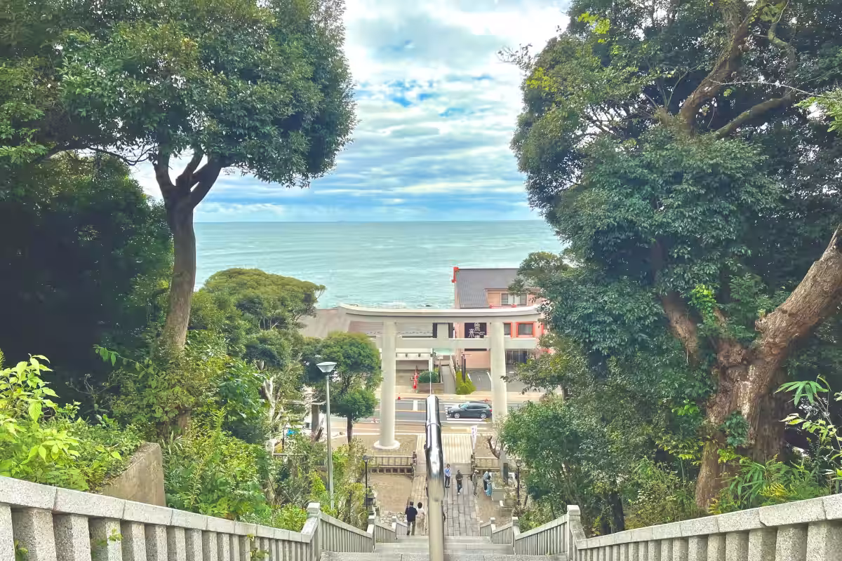 画像8