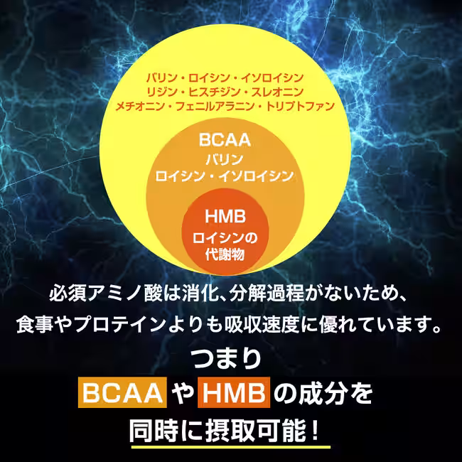 画像26