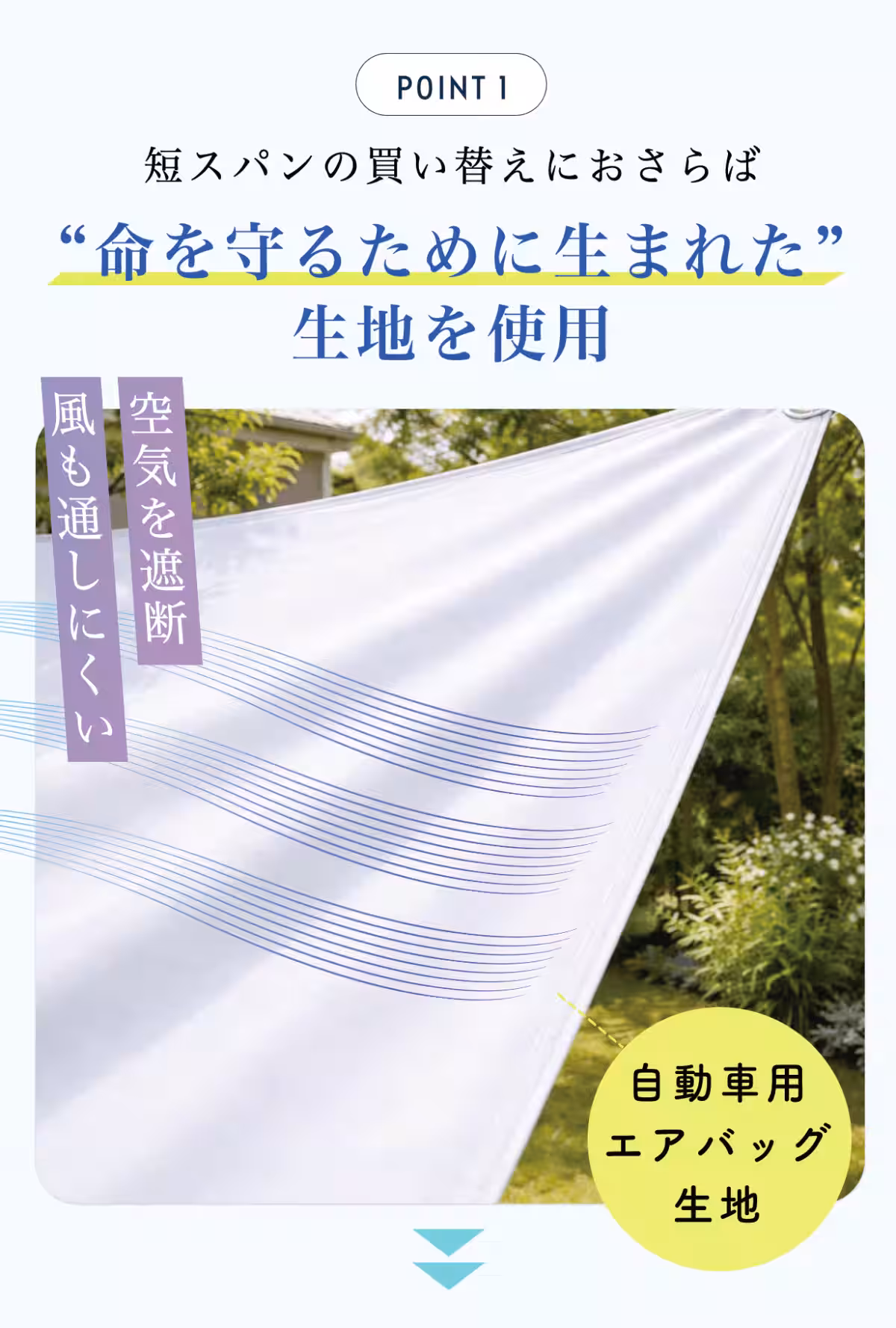 画像12