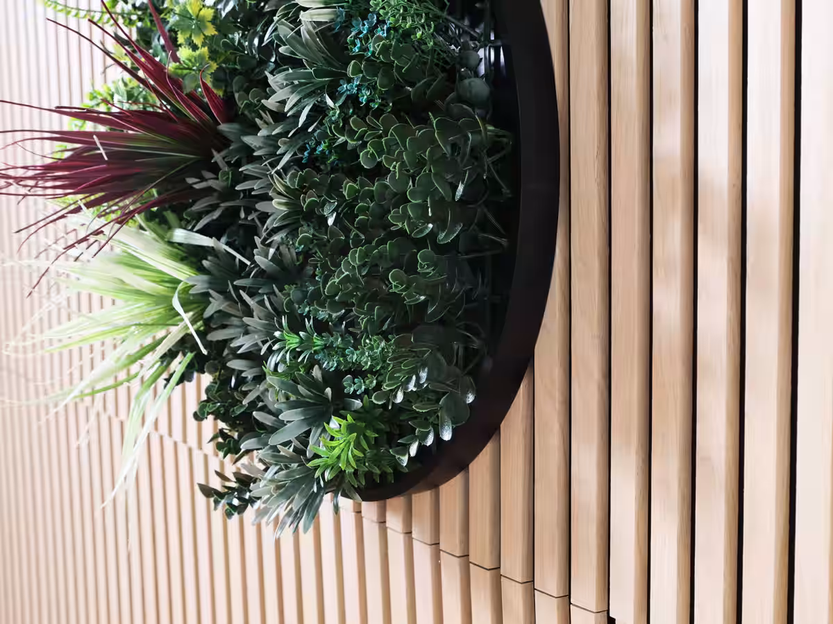 画像12