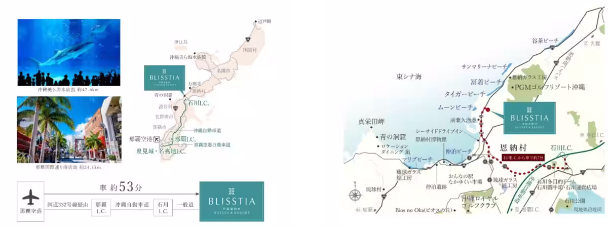 画像12