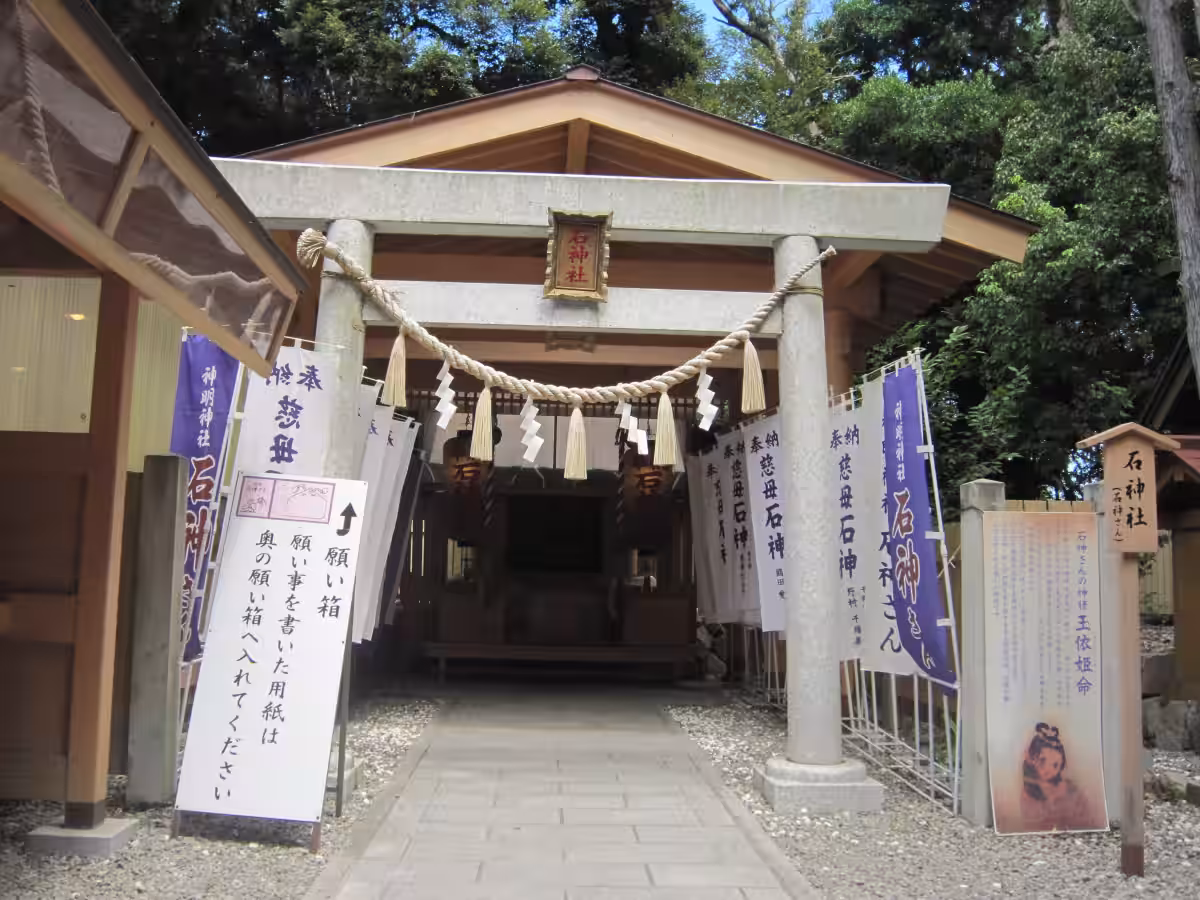 画像8