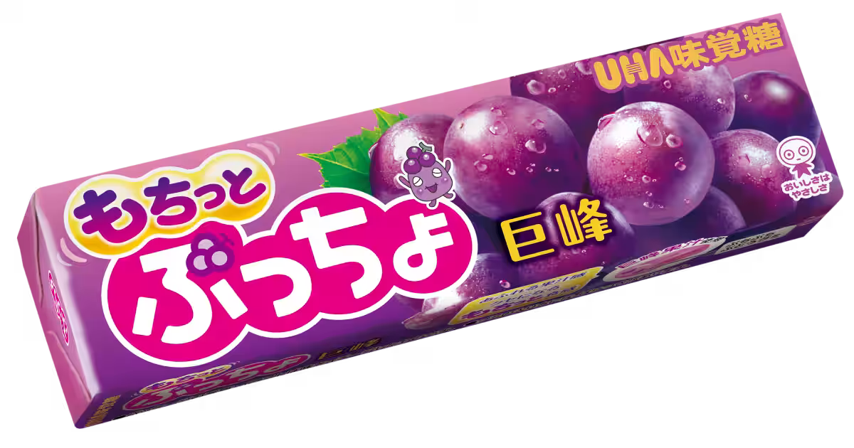 画像7