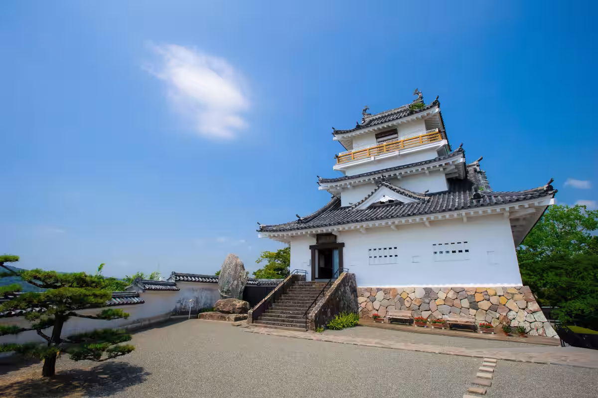 画像8