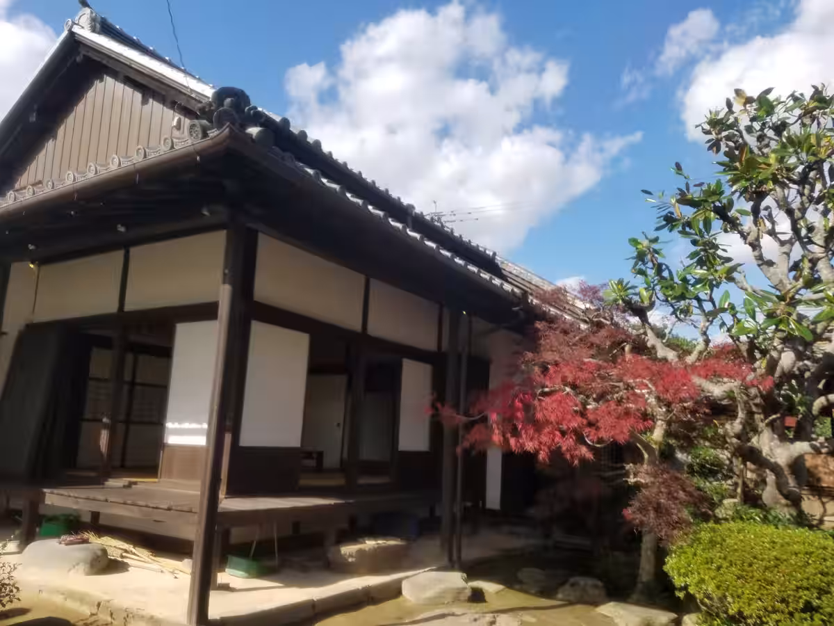 画像9
