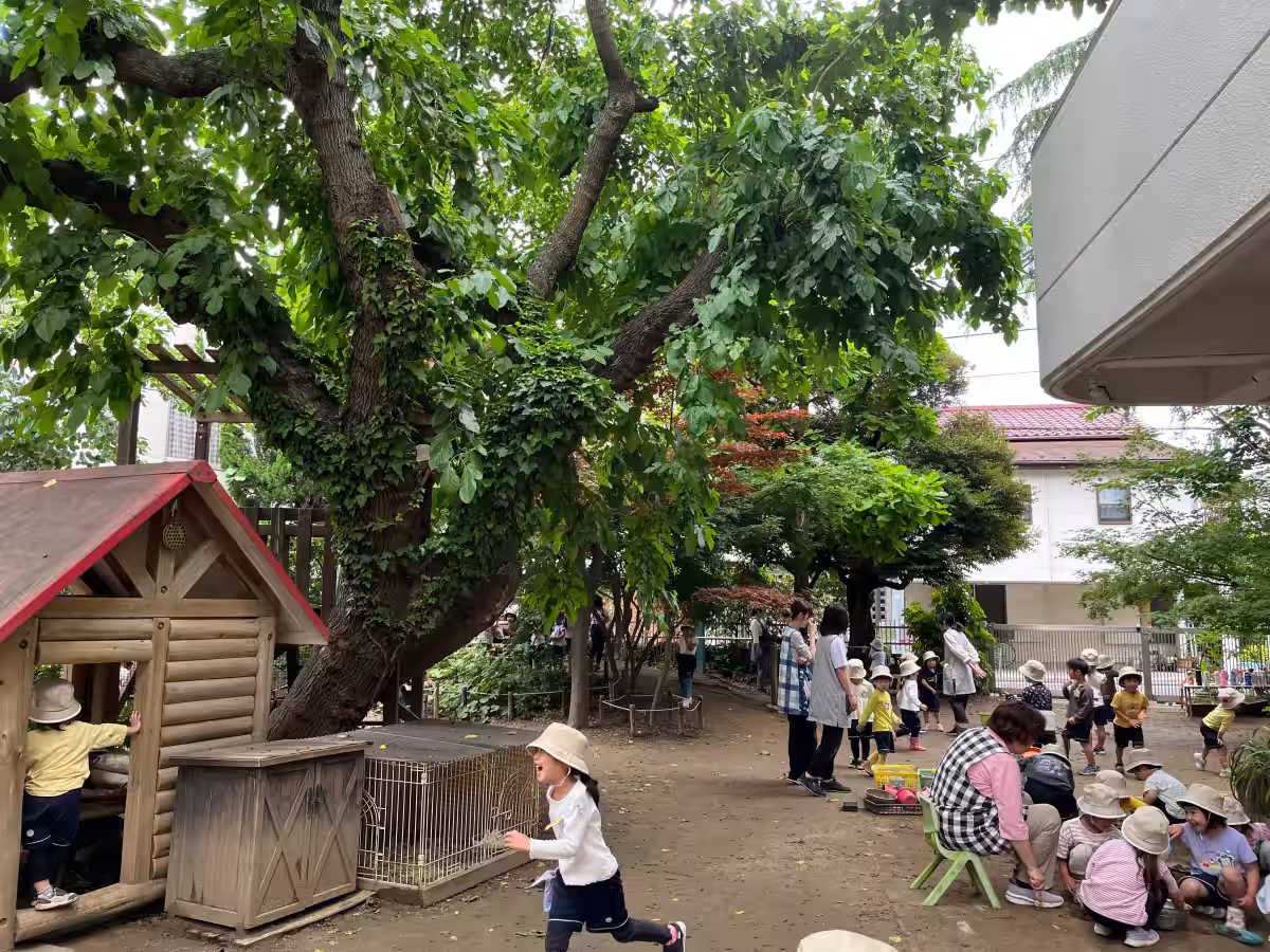 画像5