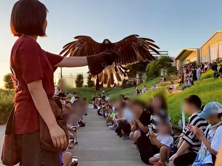 画像10