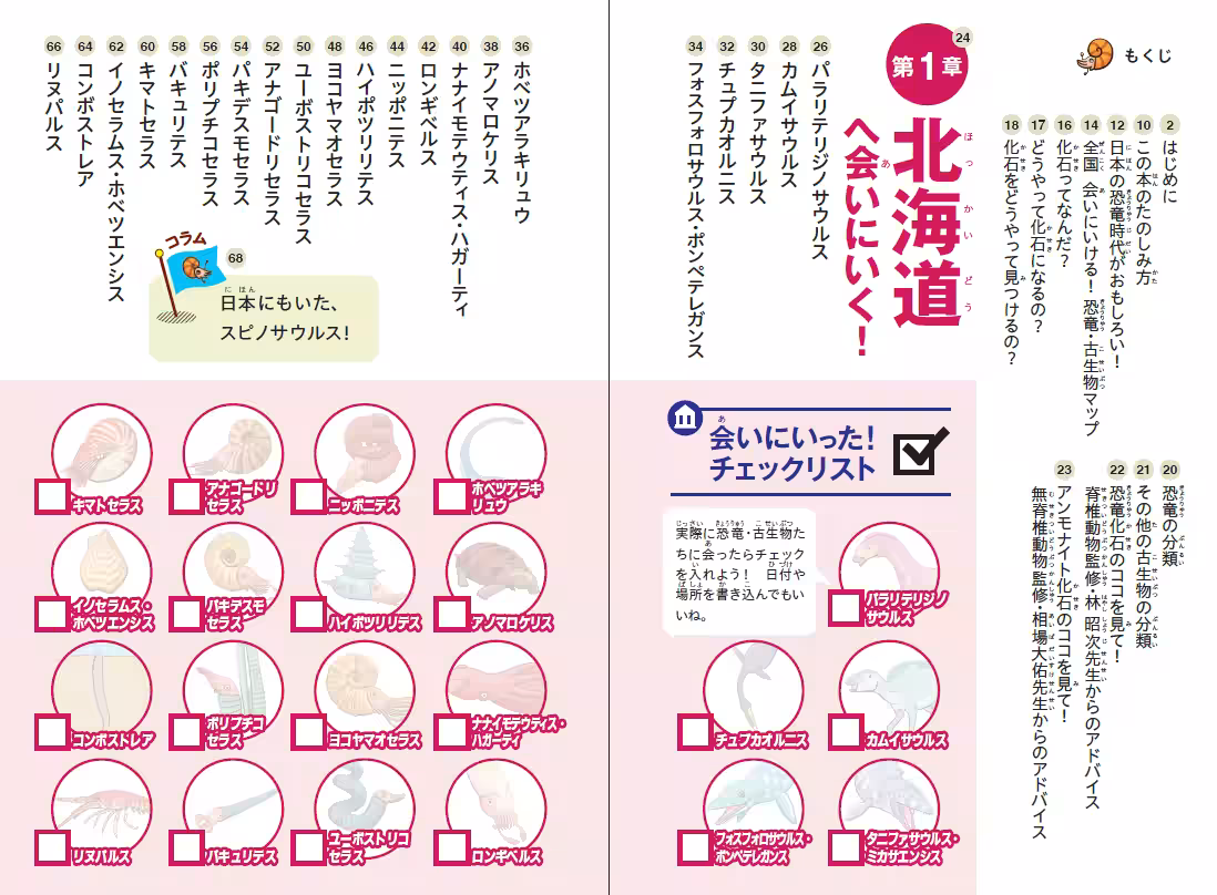 画像7