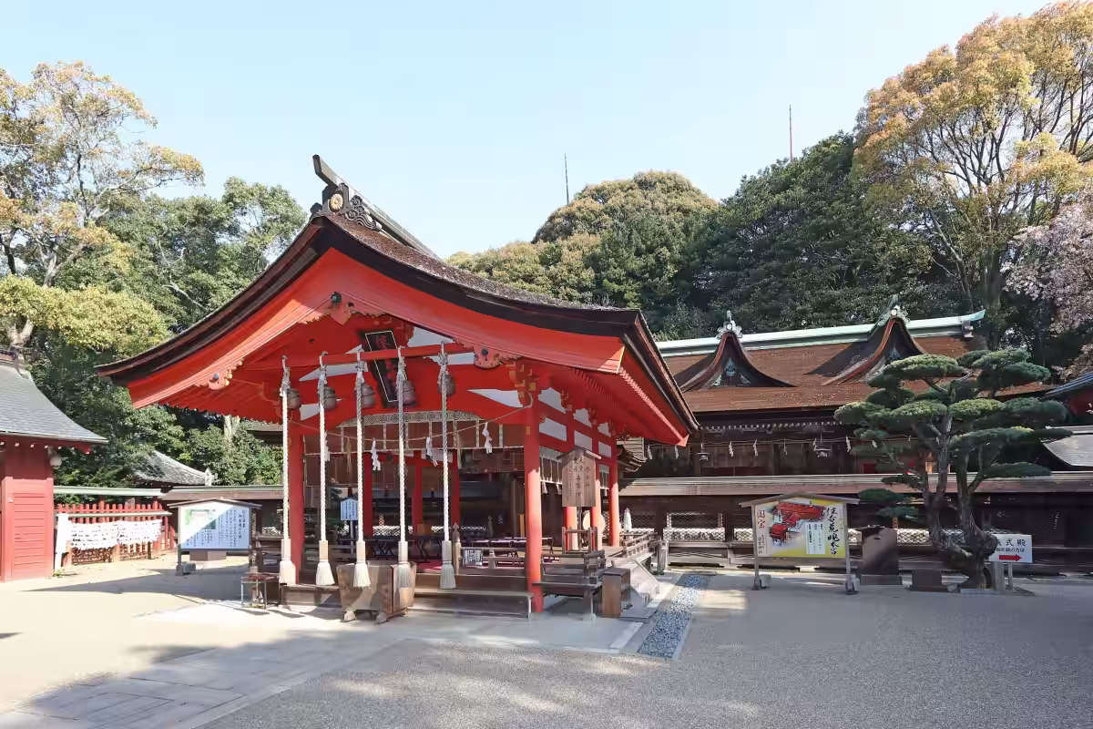 画像5