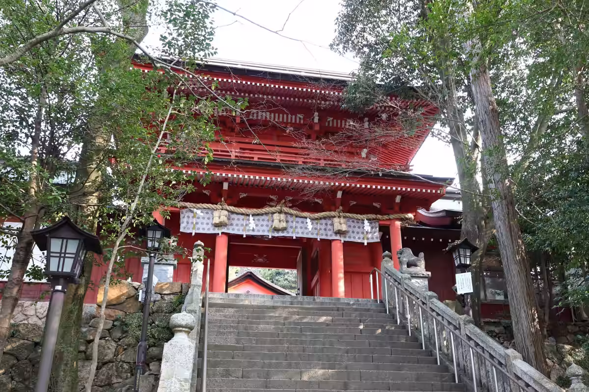画像6