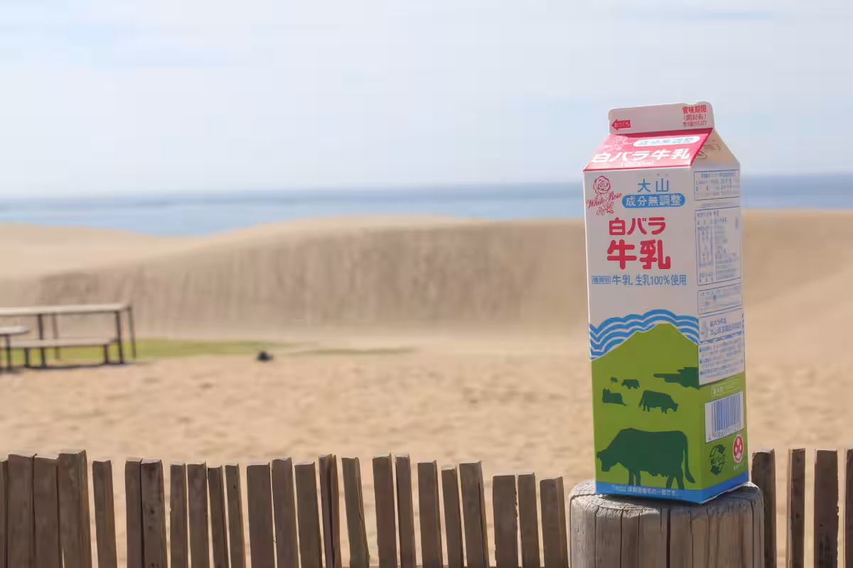 画像9