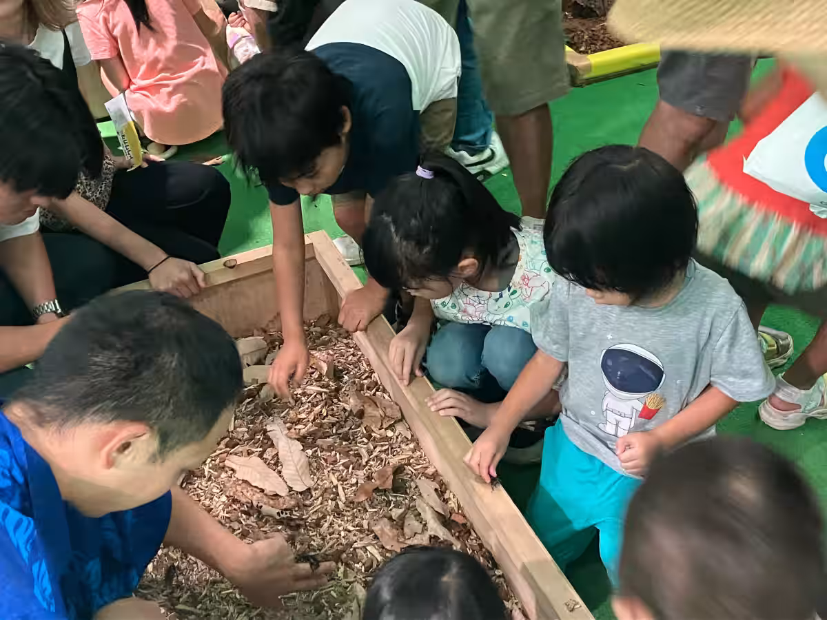 画像6