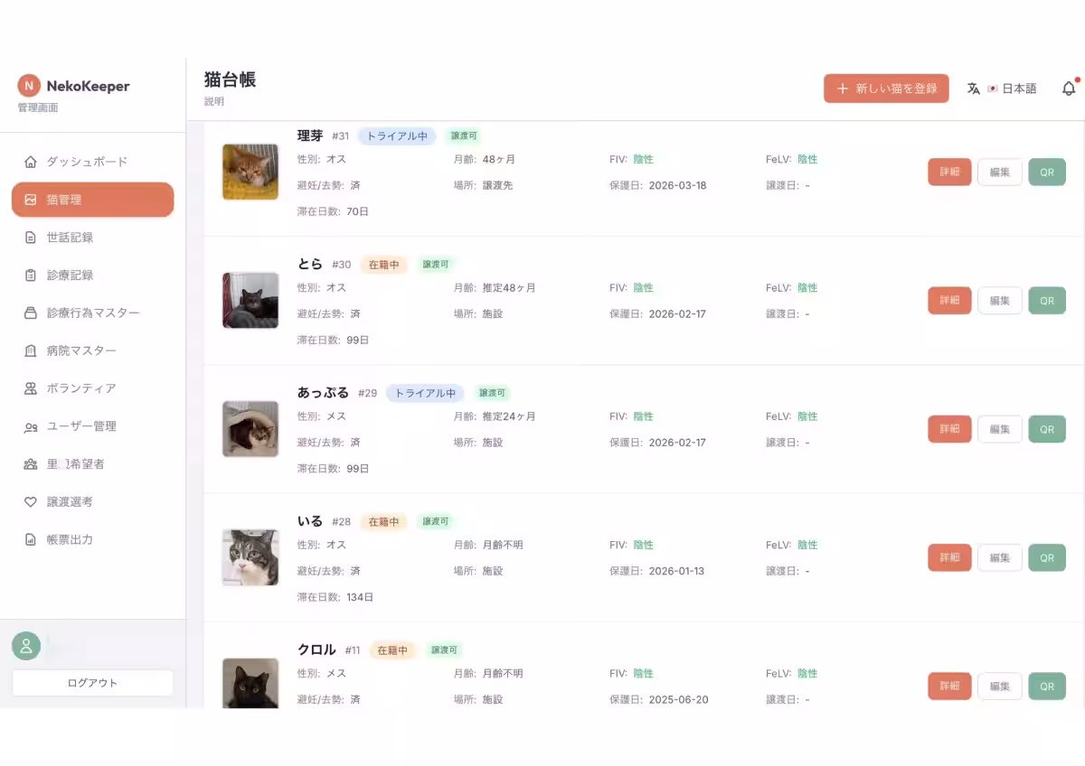 画像7