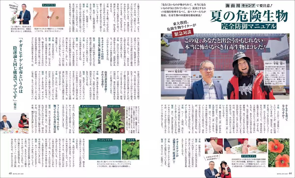 画像7