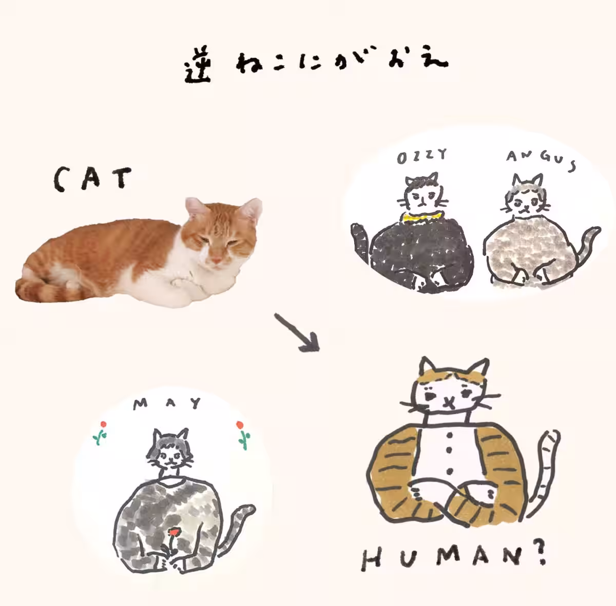 画像21