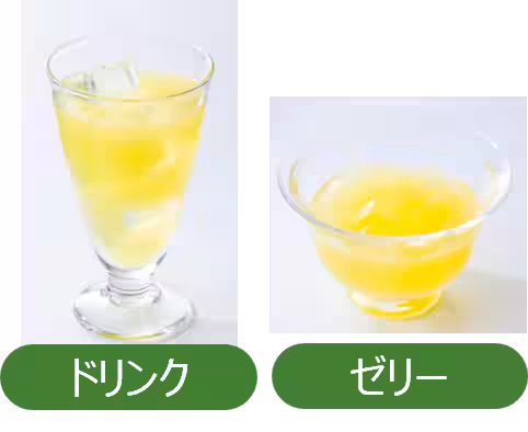 画像14